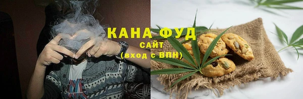 сатива Богданович