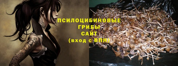 скорость Богородск