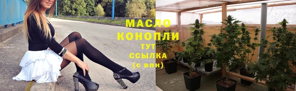 сатива Богданович