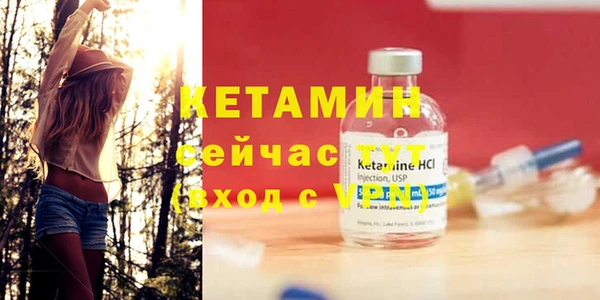 сатива Богданович