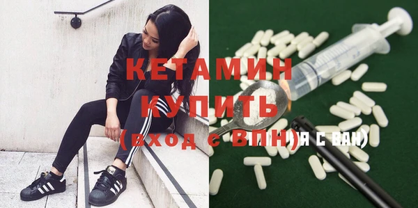сатива Богданович